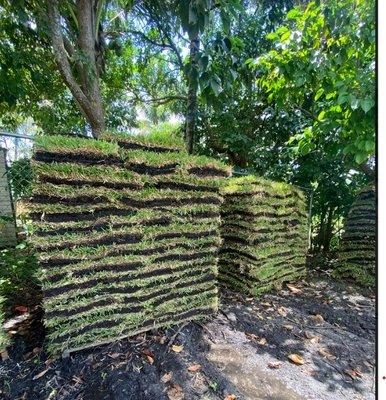 we sell palmetto sod, per piece, half pallet and full pallet!