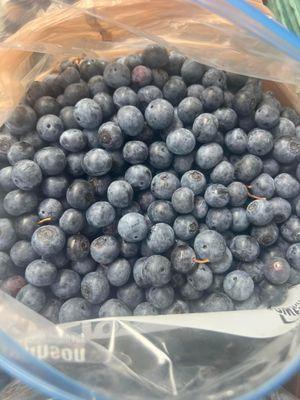 Local Blueberries