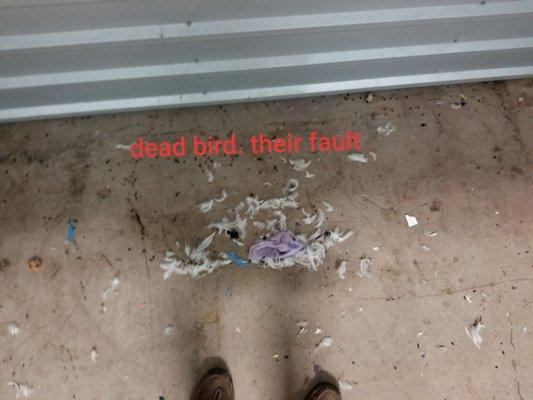 They allowed a bird to die in my supposed secure storage area