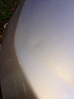 Before picture (golfball-sized dent and scratches caused by a shopping cart that rolled into my car).