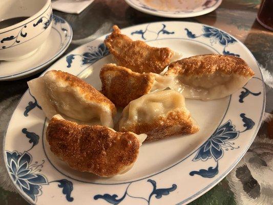 Fried Pork Dumplings