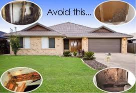 Homeowners call us today to get your free Termite home inspection.