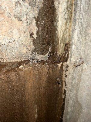 Water leaking into the basement through the wall.