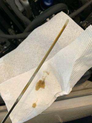 This is what the dipstick looked like when I pulled it right before driving back for them to drain the excess oil.