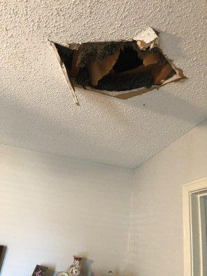 Plumber stepped thru my ceiling