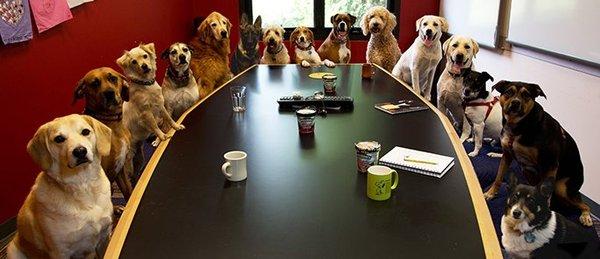 We want to help you today. Please call 
 847-483-0860 one of our dedicated agents.
 
 Woof!