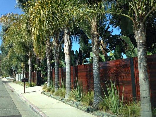 Custom wood fence installation in Riverside, CA. Look at the beautiful deep brown/red stain on this residential fence!