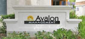 The Avalon Management Group, Inc.