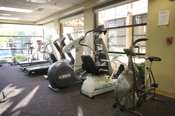 Saint Peter's Sports Medicine Institute exercise and therapy area - 1