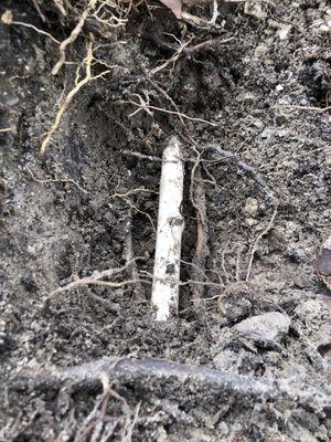 Cracked irrigation pipe