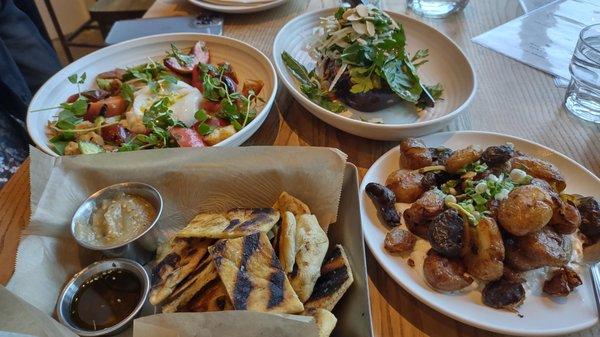 crispy smashed potatoes ($12) grilled flatbread ($7) with baba ganoush ($4), roasted eggplant ($21) the burrata panzanella ($21)