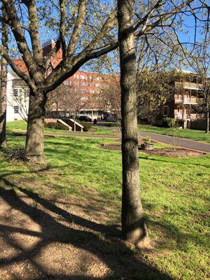 View of building from Mill Hill Park