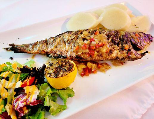 Branzino (grilled whole fish). Side of salad and Kwanga (starchy cassava).