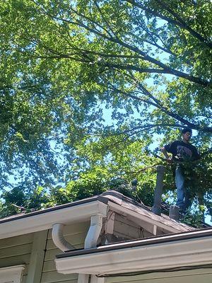 Aguilar Tree Services