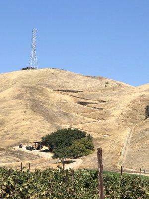 The Course at Wente Vineyards