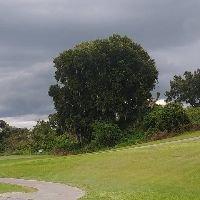 The back 9 with a storm on the horizon at Diamond Hill Golf Club, Valrico Florida