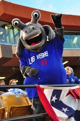 51s Mascot, Cosmo!