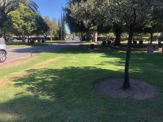 Sisters' headstone is missing, actually all the headstones in the area are missing. What is going on???