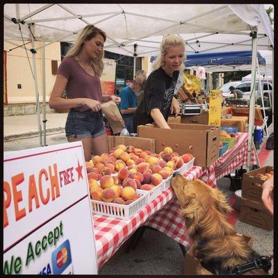 June 2019 market and peaches! I bought a tray and a few days later, they became a cobbler.