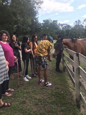 Haile Equestrian Center