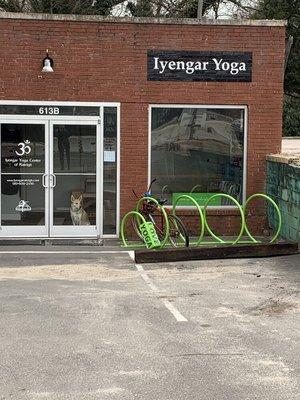 Iyengar Yoga in Downtown Raleigh