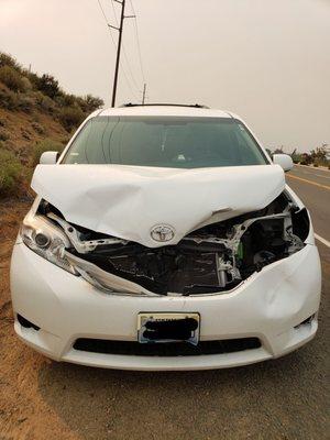 What happens when a deer jumps right in front of your vehicle on the freeway :(