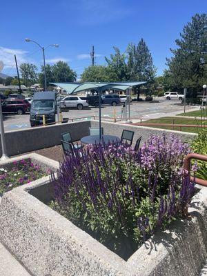 Really nice flowers at Sparks City Hall.