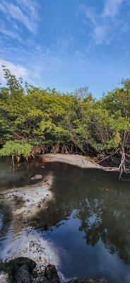 Hugh Taylor Birch State Park