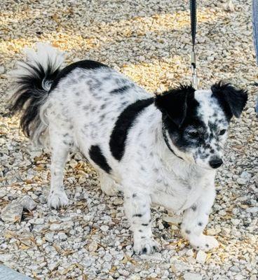 Jake's watching the campground