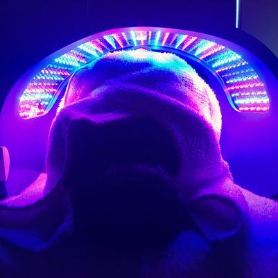 LED Light Therapy.