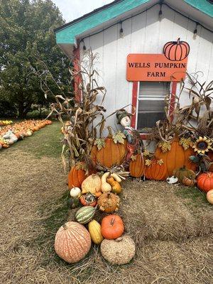 Pumpkins, Photo Spot