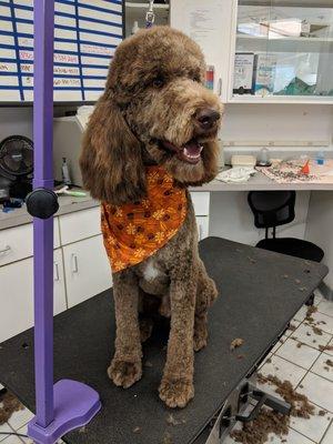 Marshall is looking fresh after his groom!