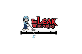 The Leak Whisperers