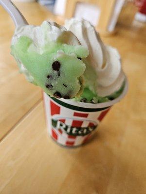 Mint chocolate chip gelato