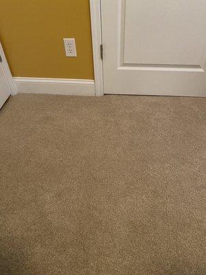 Carpet