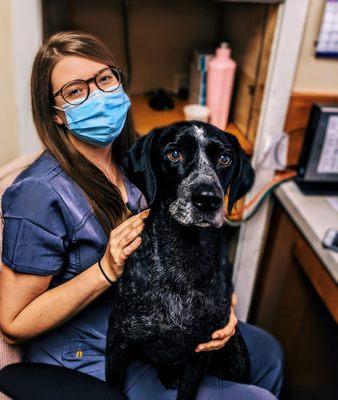 Paoli Vetcare| Main Line Vet & Animal Hospital