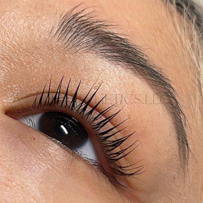 lash lift with tint