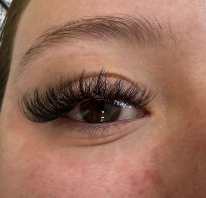 Volume Lashes