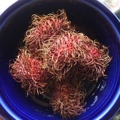 Rambutan...yum!