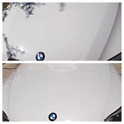 Brought this paint back to life with a premium exterior detail!