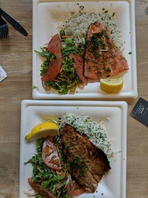 Salmon and branzini