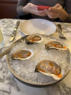 oysters