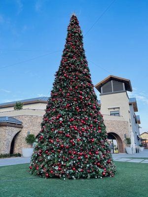 Holidays at the Vineyards