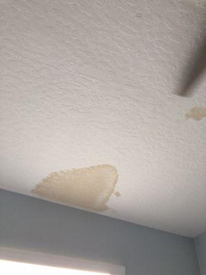 Ceiling damage