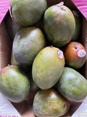 All rotten mangoes. Please don't waste money ask for refund