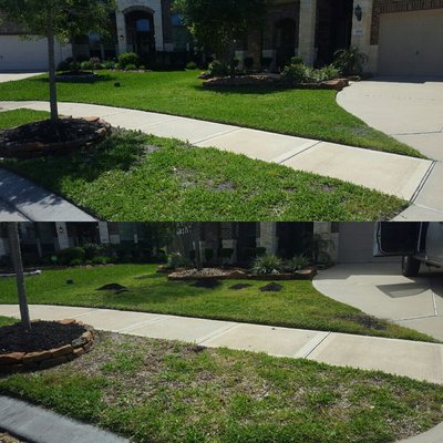 Lawn Top dressing