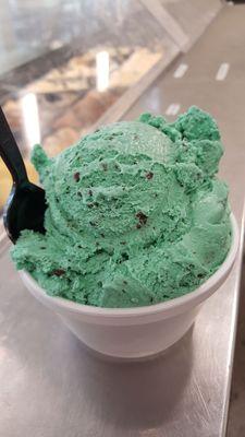 Mint Chocolate Chip Gelato