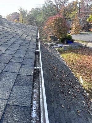 Gutter cleaning