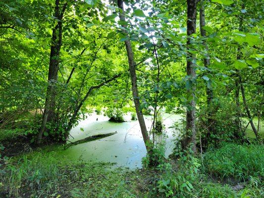 Alum Creek Park North