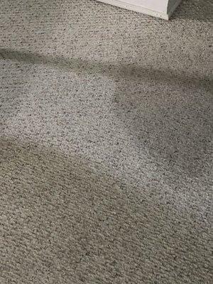 1st pic shows how dirty, then clean my sofas were. 2nd carpeting. Photos are NOT touched up. Darker areas are not wet, just dirty.